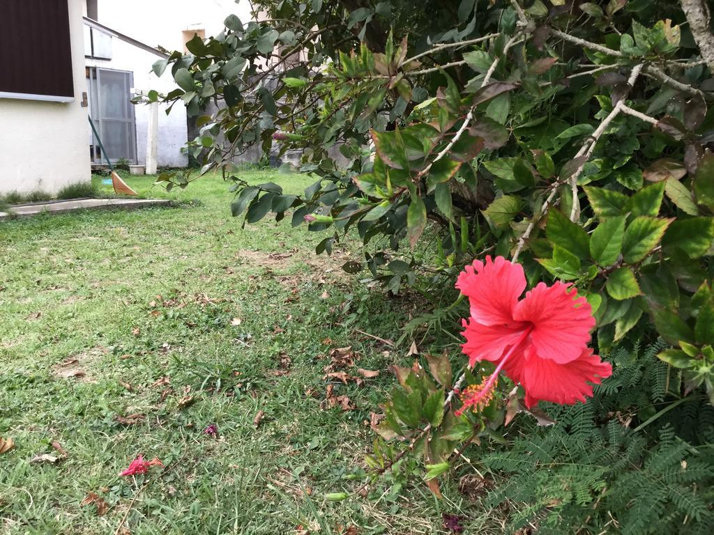 Natural Factory Okinawa ภายนอก รูปภาพ